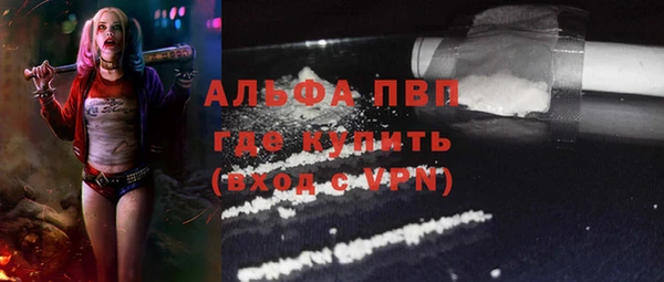 spice Аркадак